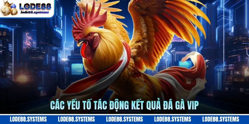 Các yếu tố tác động kết quả đá gà VIP