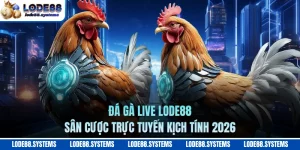 Đá Gà Live LODE88 - Sân Cược Trực Tuyến Kịch Tính 2026