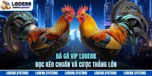 Đá Gà VIP LODE88 - Đọc Kèo Chuẩn Và Cược Thắng Lớn
