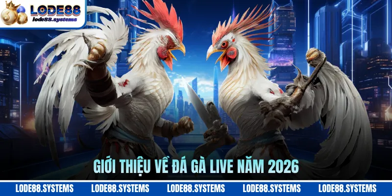 Giới thiệu về đá gà live năm 2026