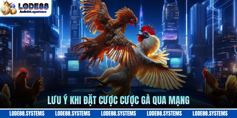 Lưu ý khi đặt cược cược gà qua mạng