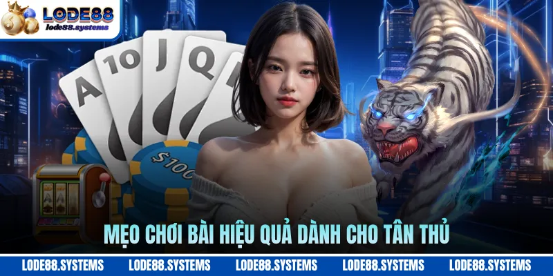 Mẹo chơi bài hiệu quả dành cho tân thủ