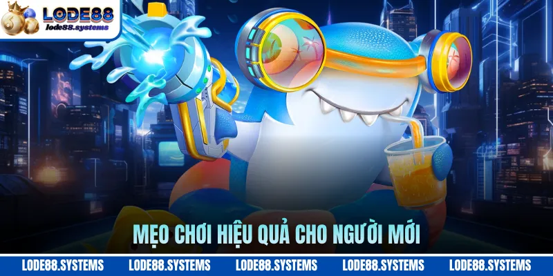 Mẹo chơi hiệu quả cho người mới