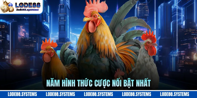 Năm hình thức cược nổi bật nhất
