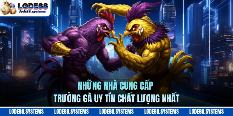 Những nhà cung cấp trường gà uy tín chất lượng nhất