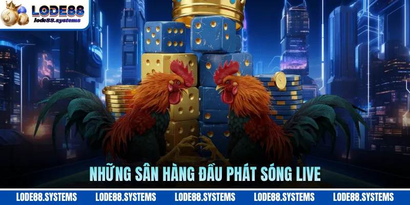Những sân hàng đầu phát sóng live
