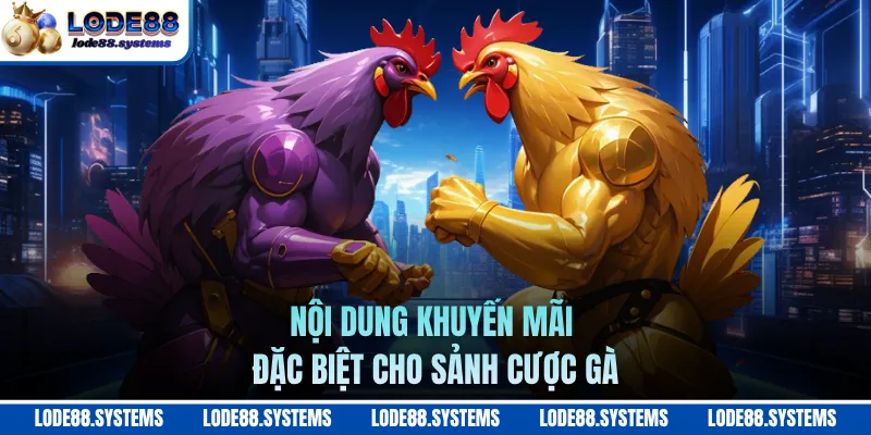 Nội dung khuyến mãi đặc biệt cho sảnh cược gà