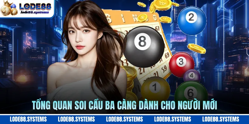 Tổng quan soi cầu ba càng dành cho người mới
